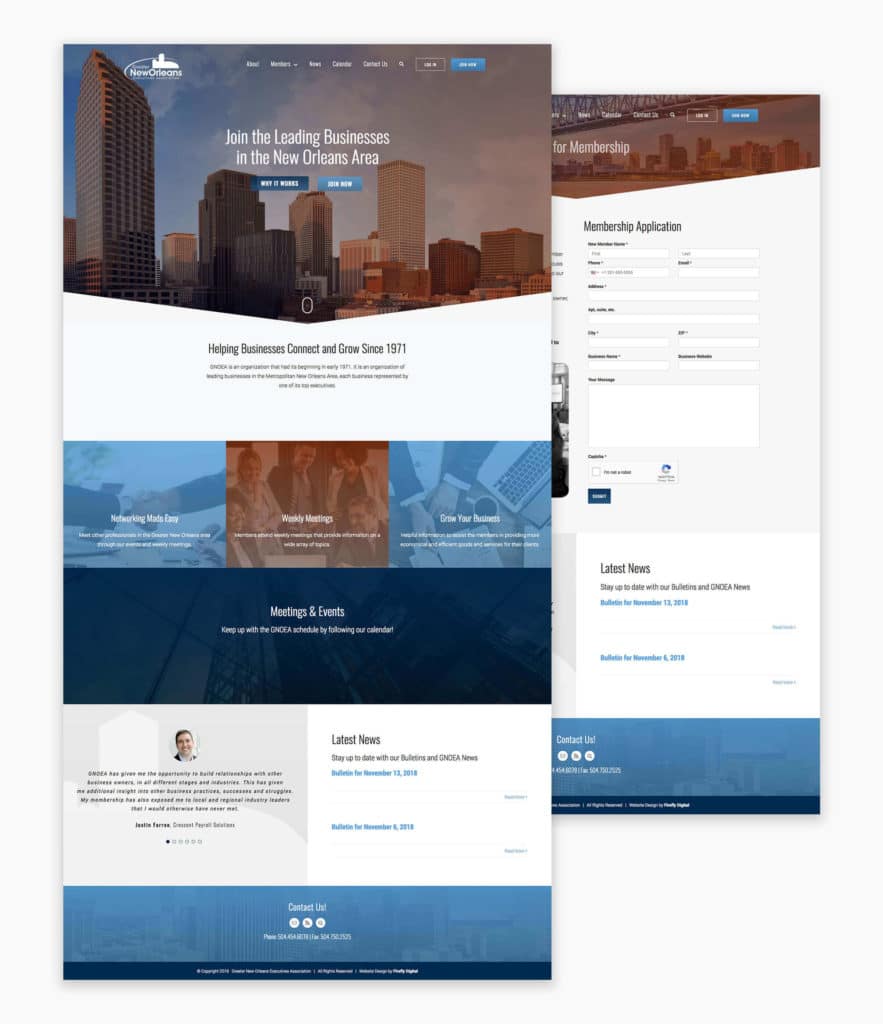 mockup of gnoea site