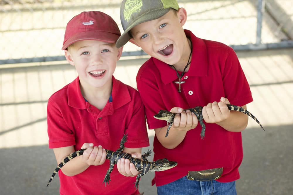 Website design for Jeff Davis Parish Gator Chateau
